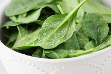 Washed fresh mini spinach in a plate on an stone background