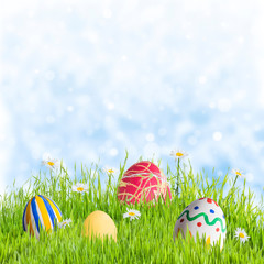 Fototapeta premium Eggs in Green Grass