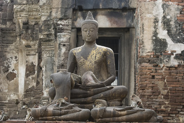 The Monkeys play and live in the ruin temple and buddha statue in Lopburi, Thailand