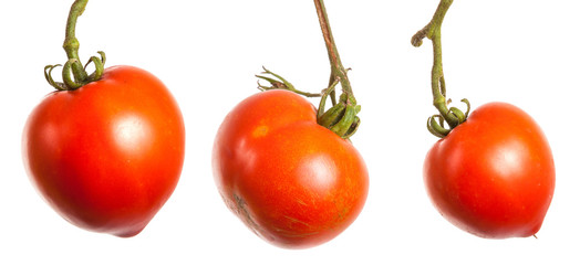 Ripe red tomatoes on a branch on a white background. Set