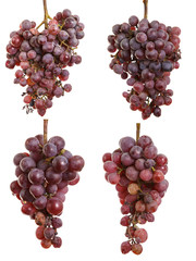 bunch of over-ripe grapes isolated on white background