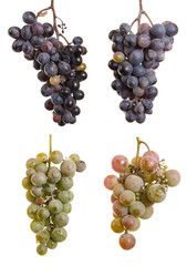 bunch of ripe grapes isolated on white background