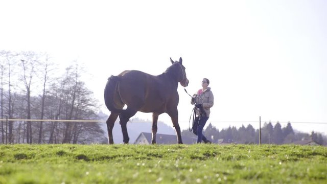 Trainer pulling leash hard to punish horse bad behavior 4K
