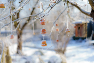 D, Bayern, Augsburg, Winter im Botanischen Garten, strahlendes Licht an Wintertag mit Schnee und...