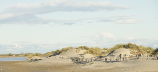 Fototapeta na wymiar Beautiful Mediterranean sand dunes near Saints-Maries-de-la-mer, France