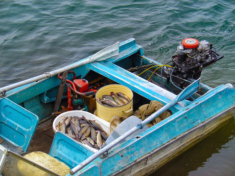 Small motor boat floating on river water with vessels full of fresh fish. Fishermen brought a good catch from their favorite outdoor leisure activity
