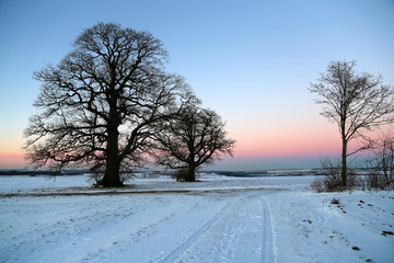 Winter landscape with fields and meadows  / Sunset in the winter