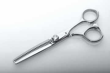 Professional Haircutting Scissors