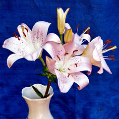 Or Yehuda Bouquet of lilies July 2010