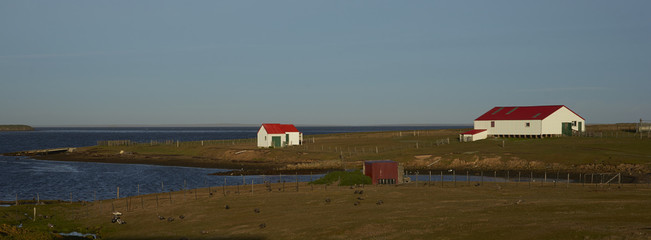 Fototapeta premium Farm buildings at the settlement on the coast of Bleaker Island in the Falkland Islands