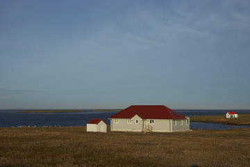 Fototapeta na wymiar Farm buildings at the settlement on the coast of Bleaker Island in the Falkland Islands