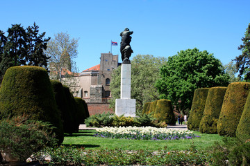 Fototapete bei efototapeten.de bestellen   