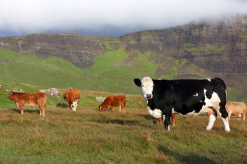 Fototapeta na wymiar Neist Point, Isle of Skye, Scotland