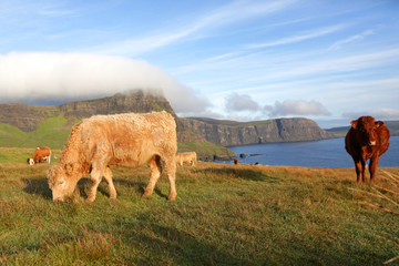 Neist Point, Isle of Skye, Scotland.