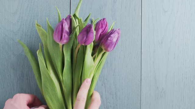 man ties a bow on a bouquet of tulips on blue table, 4k 60fps prores footage