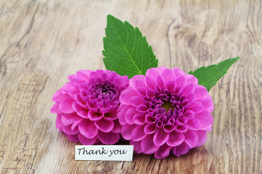 Thank you card with two pink dahlia flowers on wooden surface
