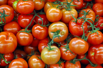 Vine tomatoes