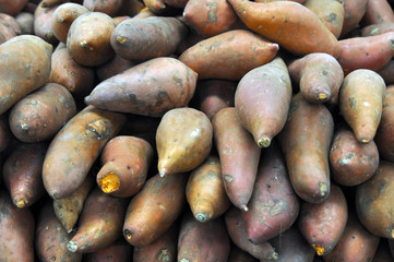 YAMS