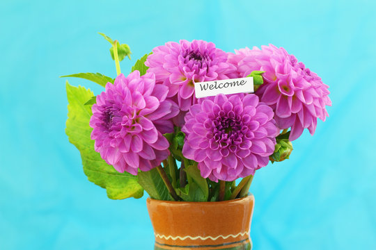 Welcome card with pink dahlia bouquet with vivid blue background
