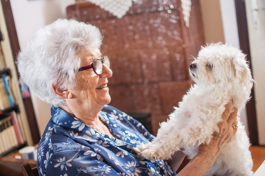 Smiling senior woman holding a cute white Maltese dog at home.