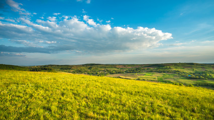 Fototapeta premium The picturesque field on the background of cloud. Wide angle