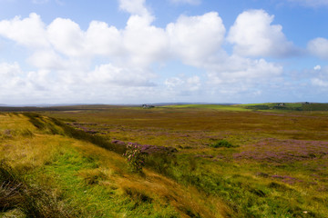 Rural scottish panorama
