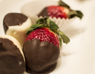 Chocolate Strawberry and Dipped Fruit 