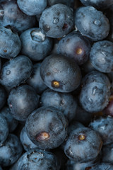 Fresh macro shot of blueberries