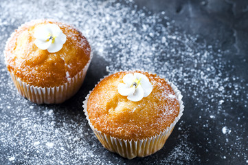 homemade vanilla capcakes