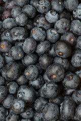 Fresh macro shot of blueberries
