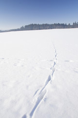 Winter landscape and sunny weather