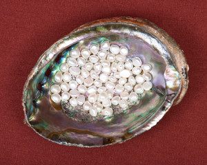 Beads of natural white freshwater pearl in bright polished rainbow abalone shell on red fabric...