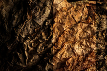Dried tobacco leaves as background