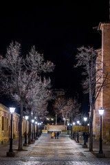 Walking in the street