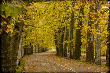 Obraz premium Otoño en Madrid