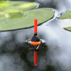Fishing float in the pond among lily leaves. Angling tackle with a bobber