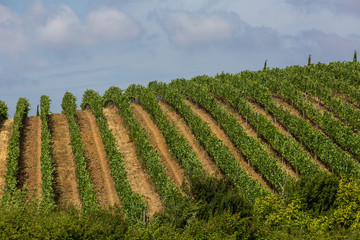Fototapeta na wymiar View of tuscan fields and hills in Maremma region in Italy