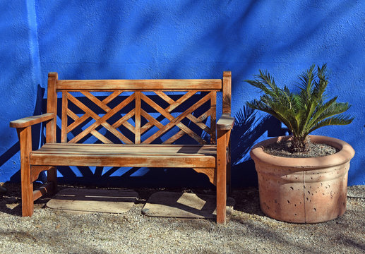 Gartenbank und Pflanzgefaess mit einer kleinen Palme vor einer leuchtend blau gestrichenen Wand