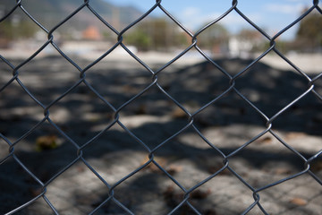 Behind the fence