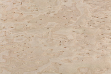 Maple wood, natural grain texture.