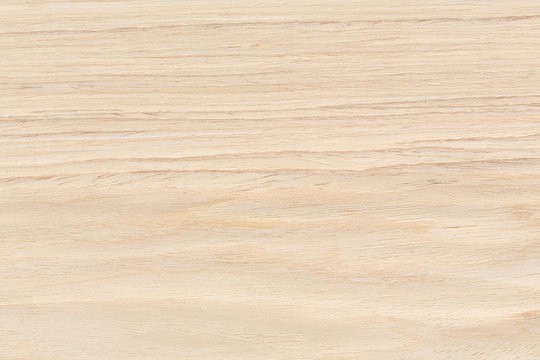 Oak wood design texture. Natural background closeup.