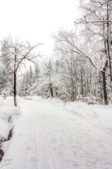 Fototapeta premium Landscape of snowy mountains in the highlands near Altenberg, Saxony in Germany