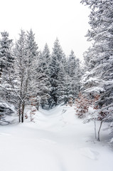 Landscape of snowy mountains in the highlands near Altenberg, Saxony in Germany