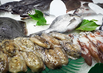 Fresh fish with squid in city market