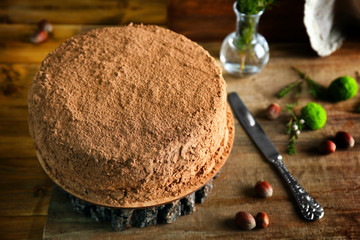 Tasty chocolate cake on wooden stump