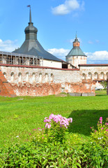 Fototapeta premium Flowerbed with pink flowers.