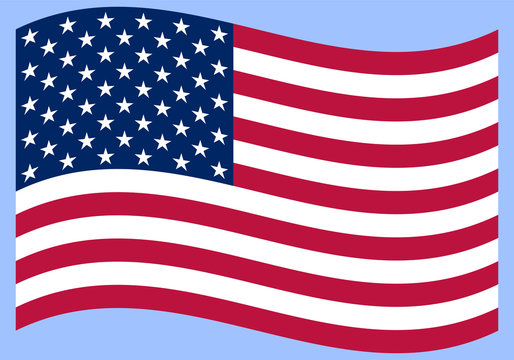 National political official US flag on a white background. vecto