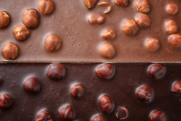 Milk and dark chocolate bars with hazelnut as background