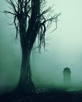The scary tree and graveyard abstract background.