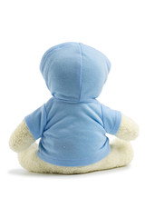 White toy teddy bear wearing a blue shirts and hat. Rear of Whit